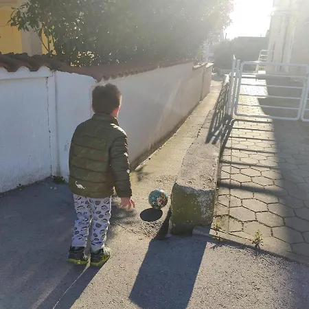 Apartman Pine Tree Dalmatia