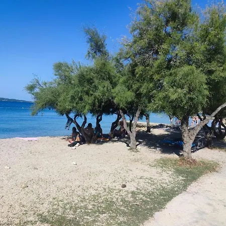 Apartman Pine Tree Dalmatia Srima