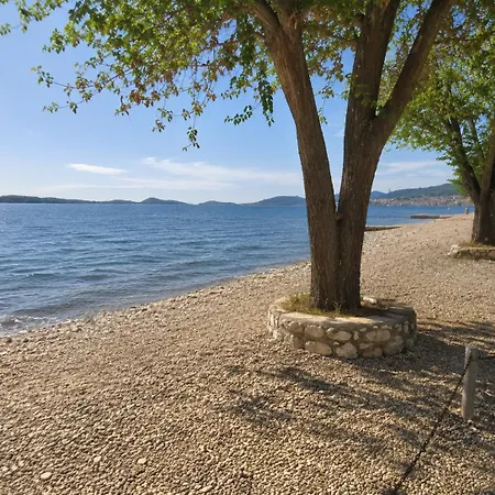Pine Tree Dalmatia Apartamento