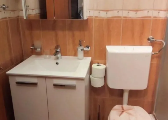 Pine Tree Dalmatia * Srima