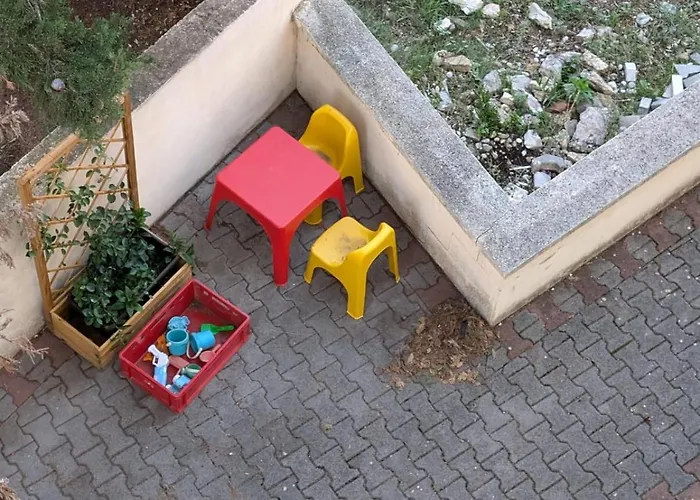 Pine Tree Dalmatia Srima