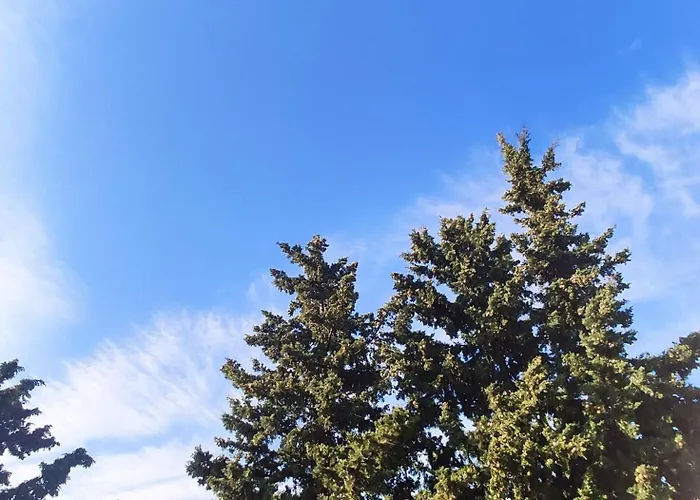 Pine Tree Dalmatia Apartamento Srima