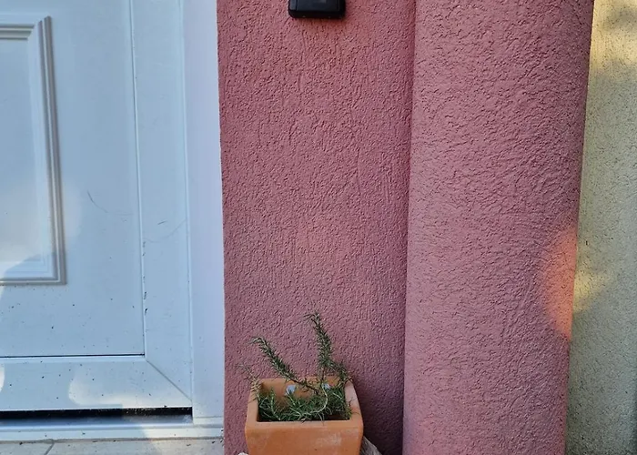 Pine Tree Dalmatia Apartamento