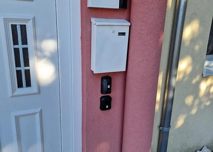 Pine Tree Dalmatia *