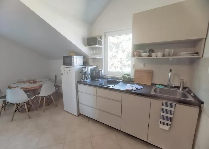 Pine Tree Dalmatia Srima