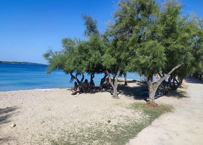 Apartamento Pine Tree Dalmatia Srima