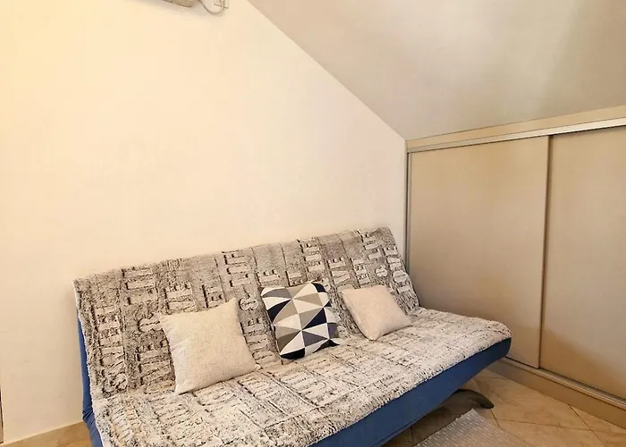 Pine Tree Dalmatia Srima