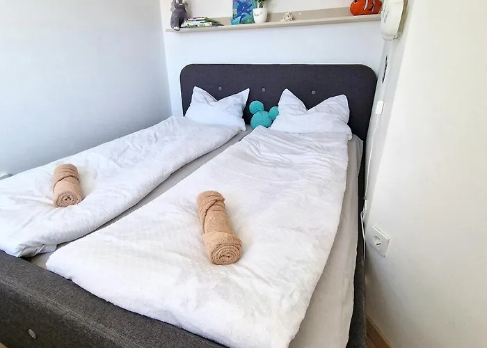 Pine Tree Dalmatia Srima