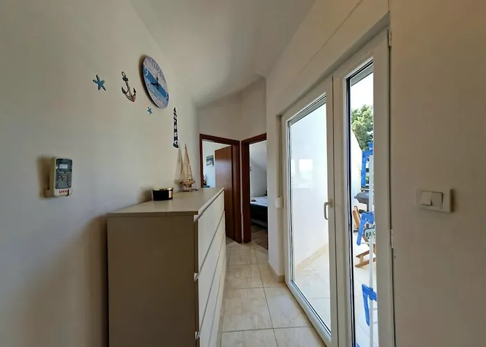 Pine Tree Dalmatia *