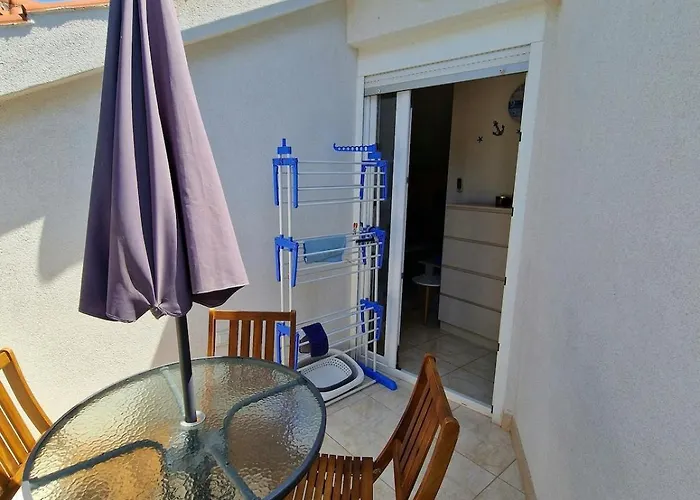 Pine Tree Dalmatia *