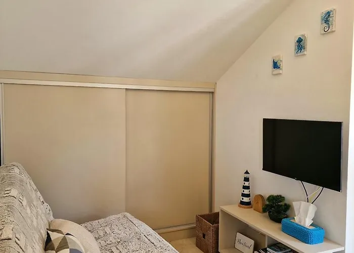 Pine Tree Dalmatia * Srima